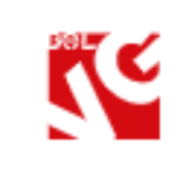 BelVG ‘BelVirtualGroup’ LLC